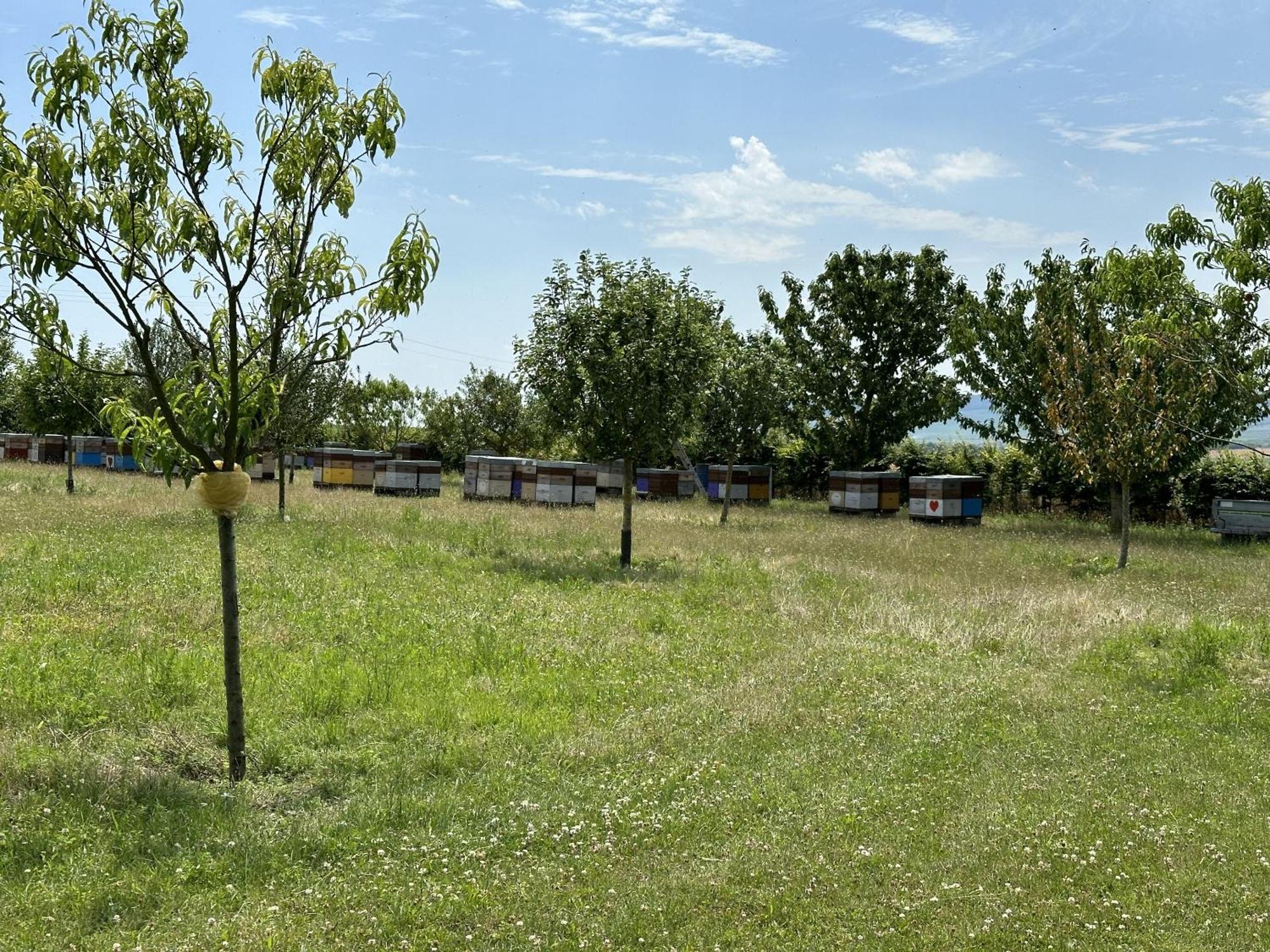 L'Intemporel Cernay-les-Reims Exterior photo